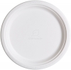 10 inch Round Sugarcane Plate