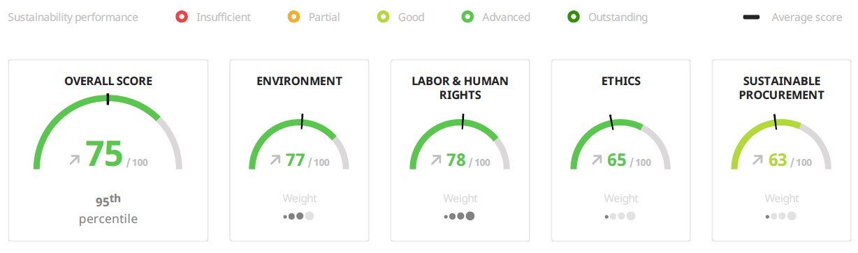 EcoVadis Score Breakdown