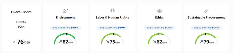 EcoVadis Score Breakdown