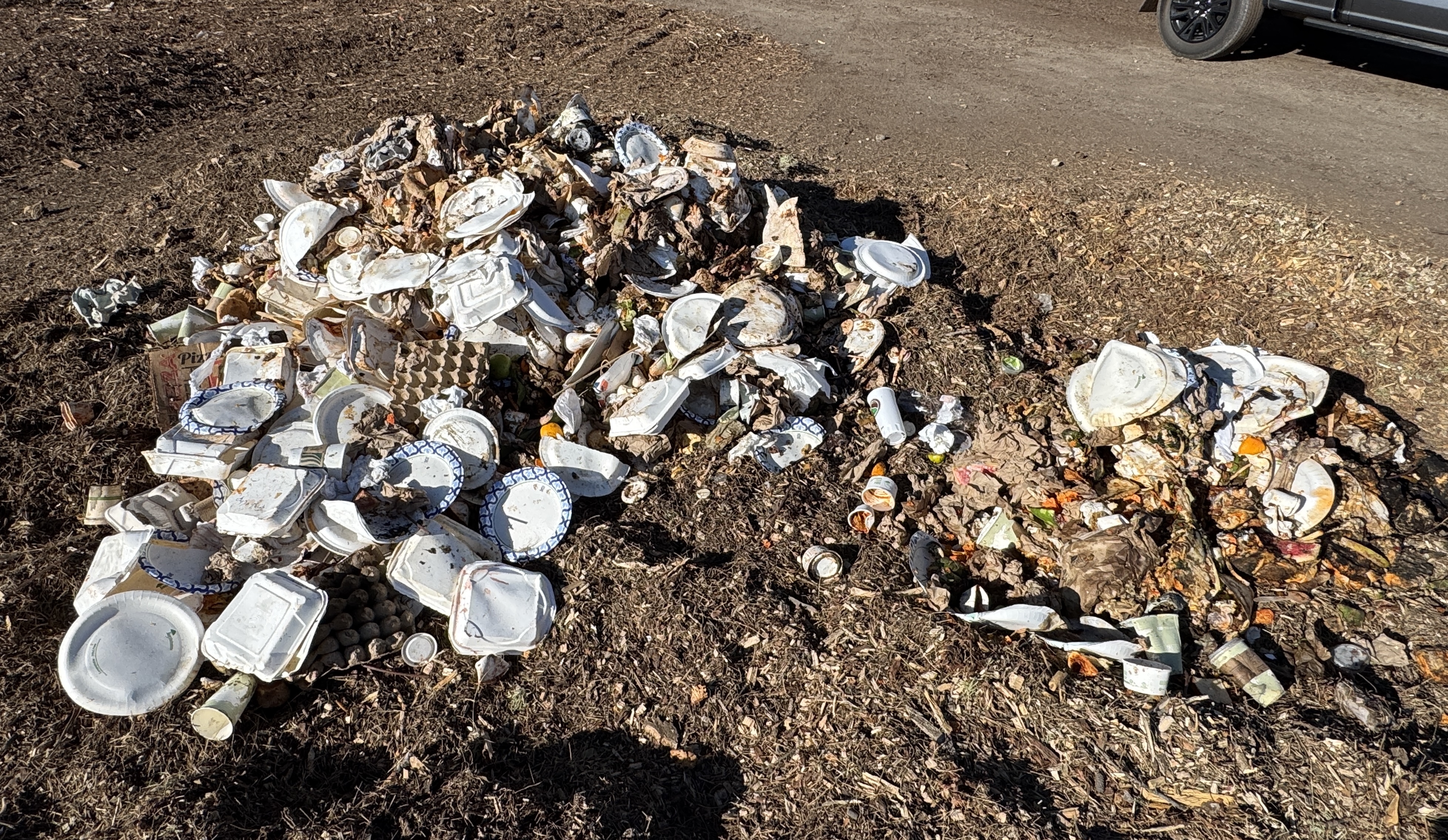 Food waste and Eco-Products' packaging arriving to composter